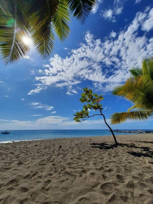 Ti Sucrier Jaune - Douceur Caraibe Vue Mer Ле-Карбе Экстерьер фото